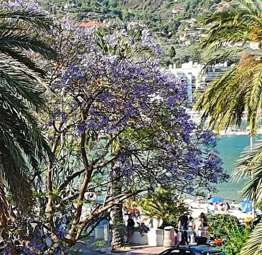 La Piazzetta, Vue Mer Apartmán